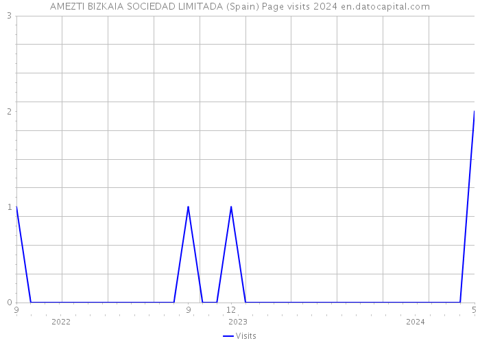 AMEZTI BIZKAIA SOCIEDAD LIMITADA (Spain) Page visits 2024 