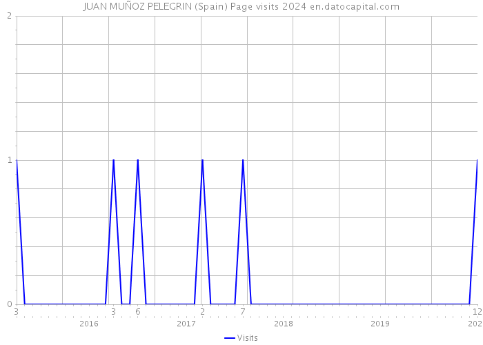 JUAN MUÑOZ PELEGRIN (Spain) Page visits 2024 