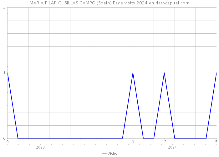 MARIA PILAR CUBILLAS CAMPO (Spain) Page visits 2024 