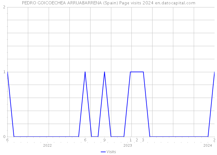 PEDRO GOICOECHEA ARRUABARRENA (Spain) Page visits 2024 