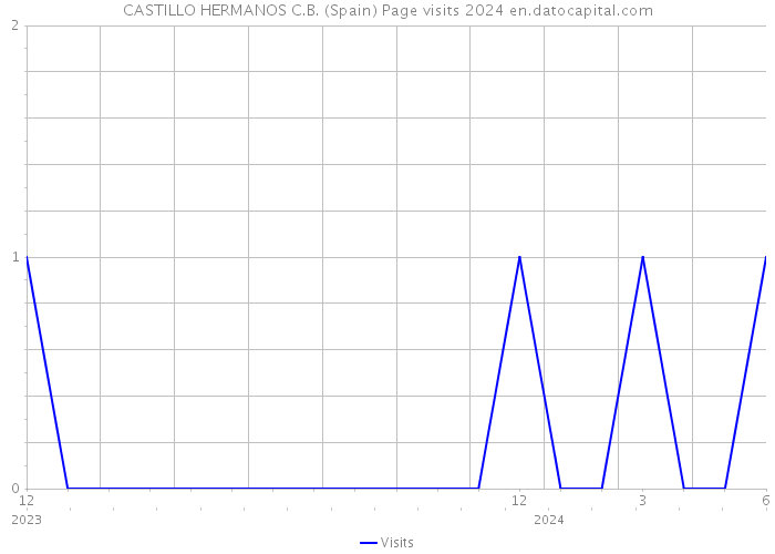 CASTILLO HERMANOS C.B. (Spain) Page visits 2024 