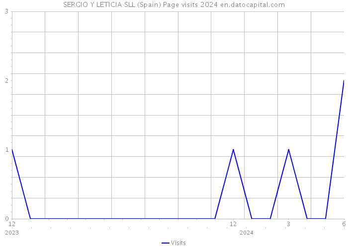 SERGIO Y LETICIA SLL (Spain) Page visits 2024 
