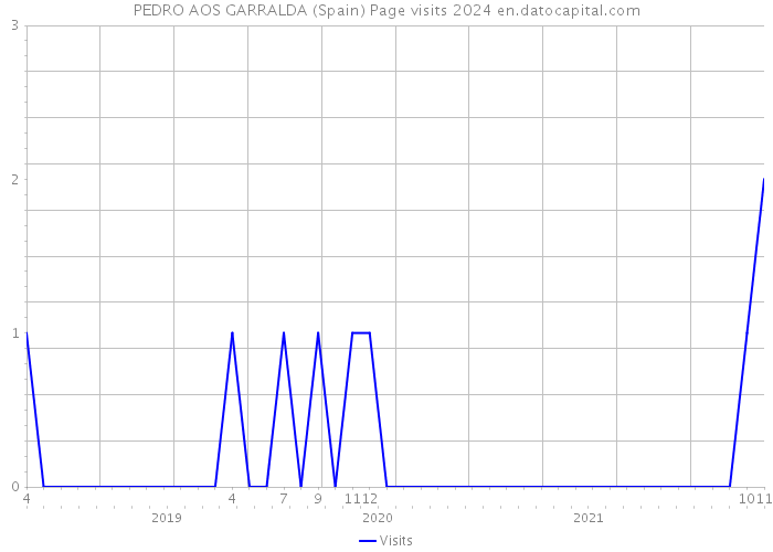 PEDRO AOS GARRALDA (Spain) Page visits 2024 