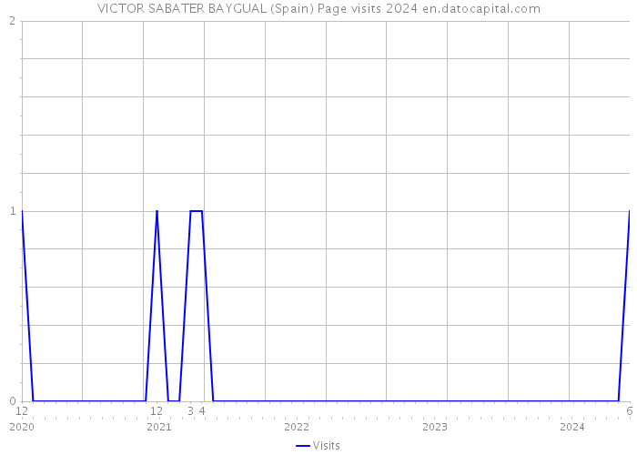 VICTOR SABATER BAYGUAL (Spain) Page visits 2024 