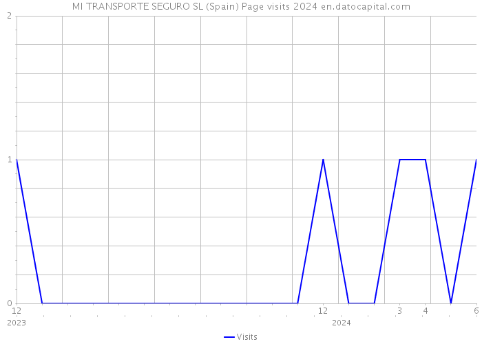 MI TRANSPORTE SEGURO SL (Spain) Page visits 2024 