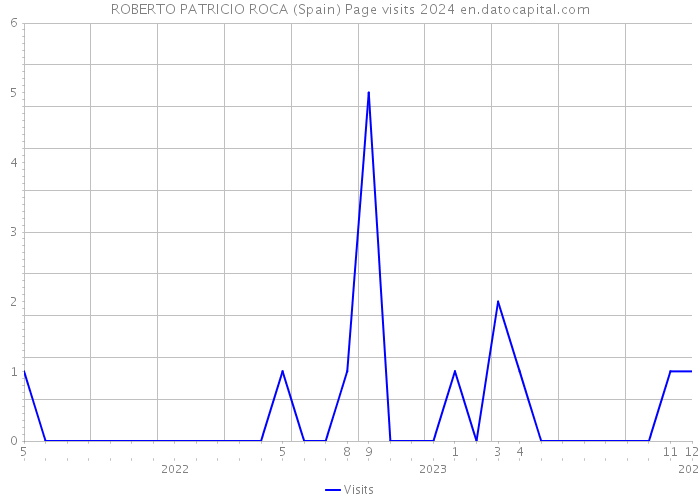 ROBERTO PATRICIO ROCA (Spain) Page visits 2024 