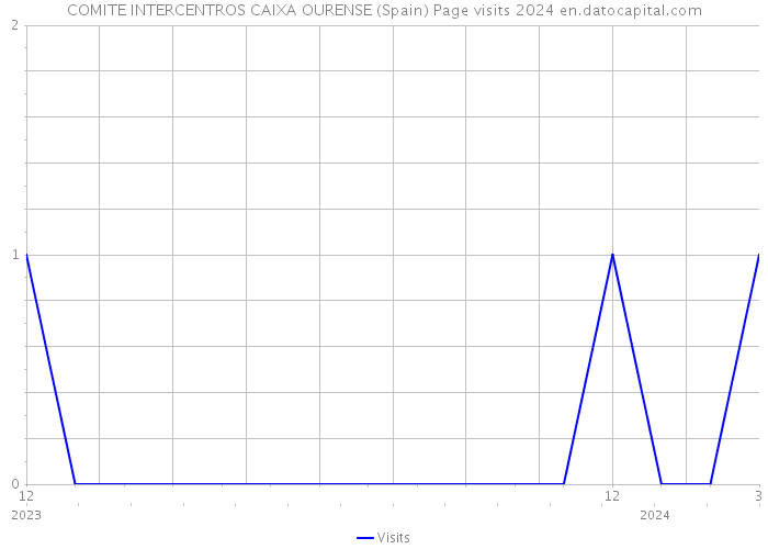 COMITE INTERCENTROS CAIXA OURENSE (Spain) Page visits 2024 