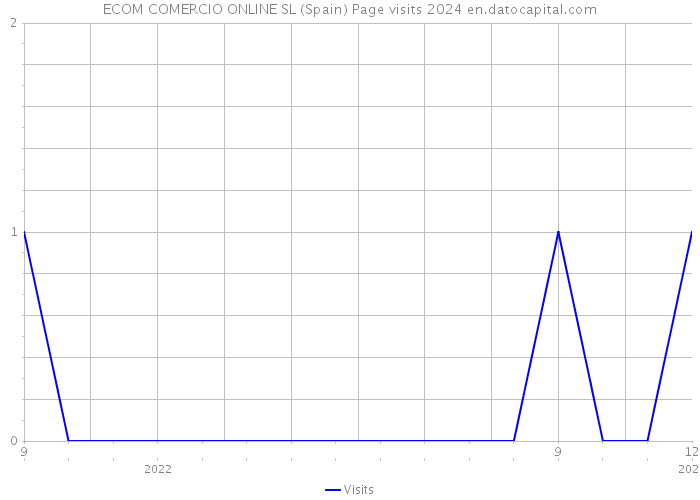 ECOM COMERCIO ONLINE SL (Spain) Page visits 2024 
