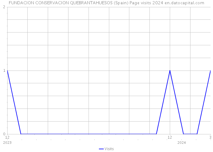FUNDACION CONSERVACION QUEBRANTAHUESOS (Spain) Page visits 2024 