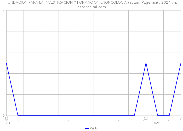 FUNDACION PARA LA INVESTIGACION Y FORMACION ENONCOLOGIA (Spain) Page visits 2024 