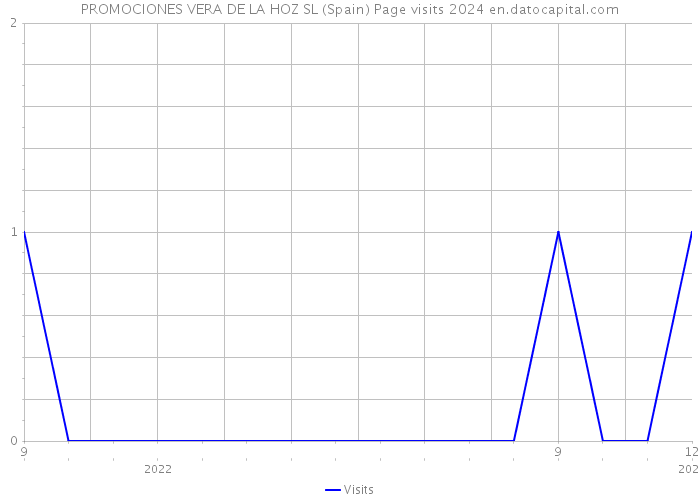 PROMOCIONES VERA DE LA HOZ SL (Spain) Page visits 2024 