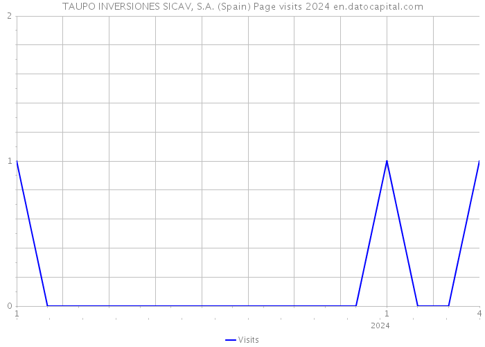 TAUPO INVERSIONES SICAV, S.A. (Spain) Page visits 2024 