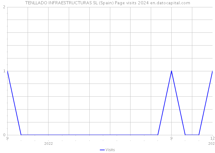 TENLLADO INFRAESTRUCTURAS SL (Spain) Page visits 2024 