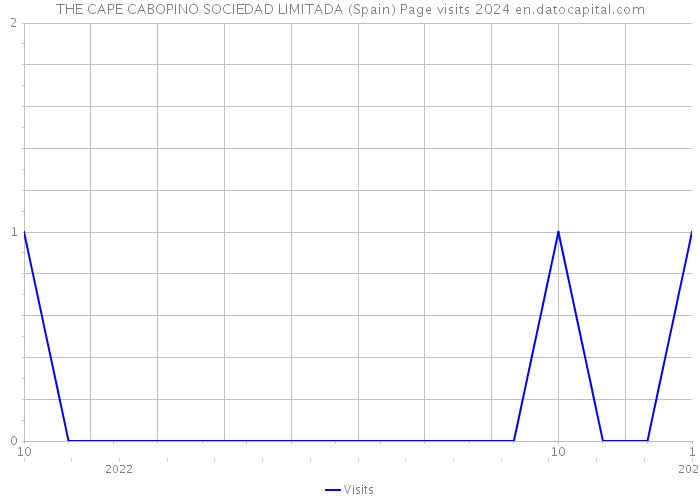 THE CAPE CABOPINO SOCIEDAD LIMITADA (Spain) Page visits 2024 