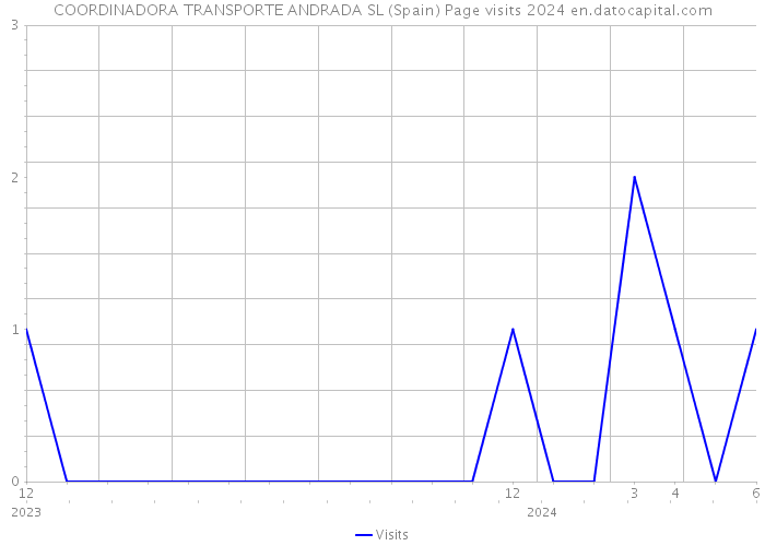 COORDINADORA TRANSPORTE ANDRADA SL (Spain) Page visits 2024 