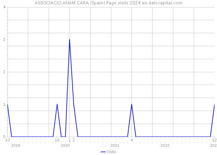 ASSOCIACIO ANAM CARA (Spain) Page visits 2024 