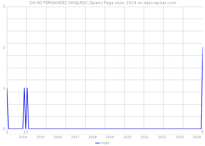 DAVID FERNANDEZ SANJURJO (Spain) Page visits 2024 