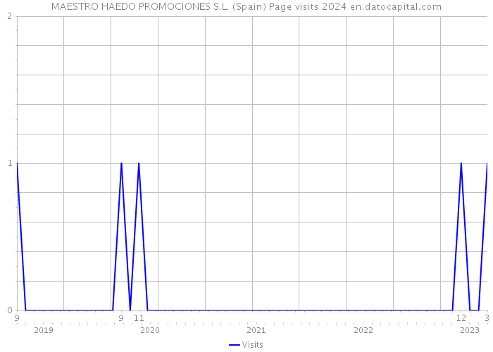 MAESTRO HAEDO PROMOCIONES S.L. (Spain) Page visits 2024 