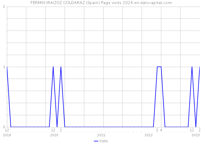 FERMIN IRAIZOZ GOLDARAZ (Spain) Page visits 2024 