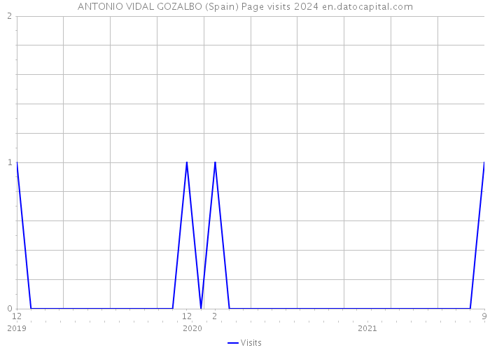 ANTONIO VIDAL GOZALBO (Spain) Page visits 2024 