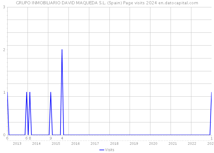 GRUPO INMOBILIARIO DAVID MAQUEDA S.L. (Spain) Page visits 2024 