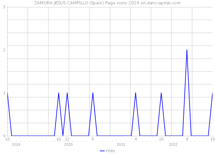 ZAMORA JESUS CAMPILLO (Spain) Page visits 2024 