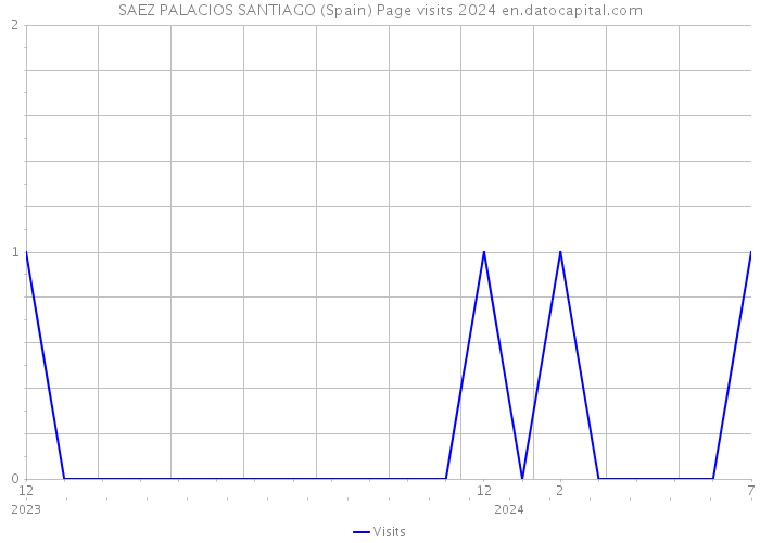 SAEZ PALACIOS SANTIAGO (Spain) Page visits 2024 