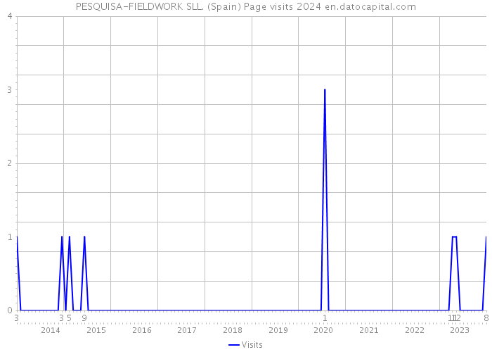 PESQUISA-FIELDWORK SLL. (Spain) Page visits 2024 