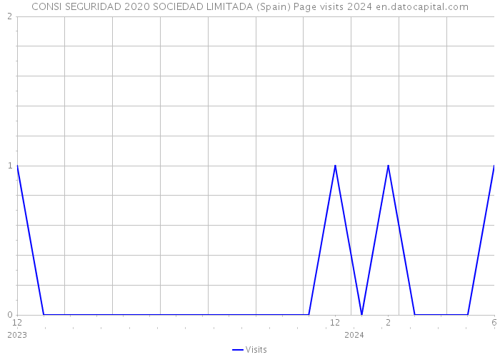 CONSI SEGURIDAD 2020 SOCIEDAD LIMITADA (Spain) Page visits 2024 