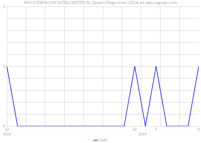 RAYVI ESPACIOS INTELIGENTES SL (Spain) Page visits 2024 