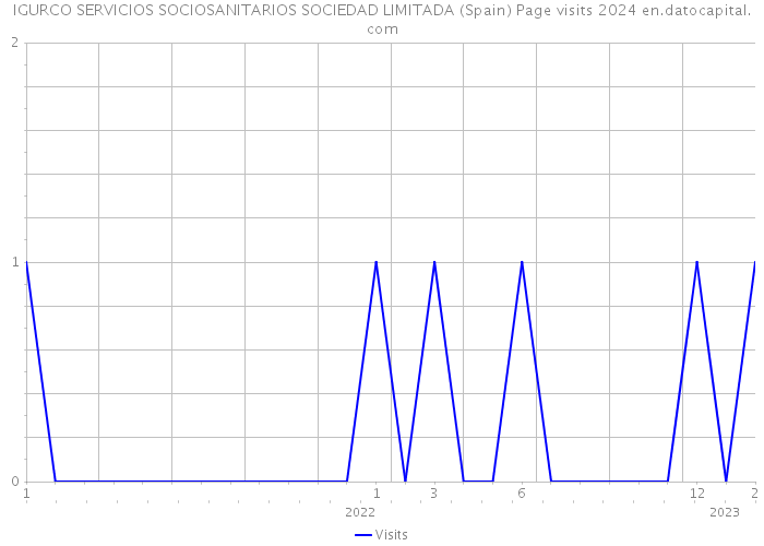 IGURCO SERVICIOS SOCIOSANITARIOS SOCIEDAD LIMITADA (Spain) Page visits 2024 