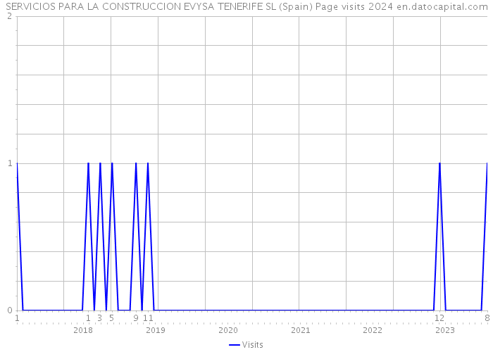 SERVICIOS PARA LA CONSTRUCCION EVYSA TENERIFE SL (Spain) Page visits 2024 