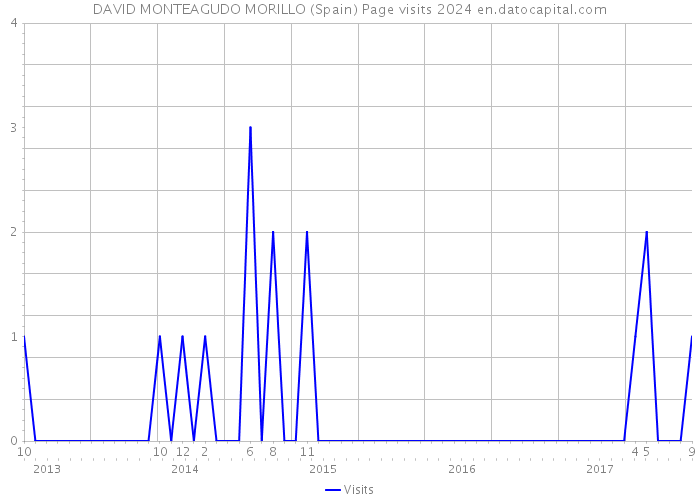 DAVID MONTEAGUDO MORILLO (Spain) Page visits 2024 