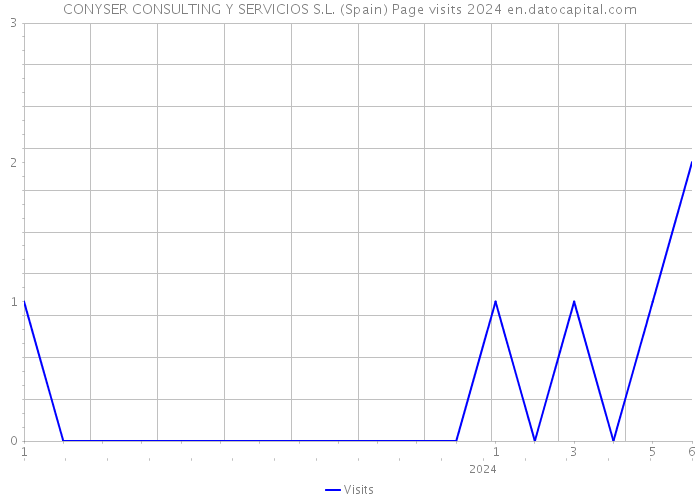 CONYSER CONSULTING Y SERVICIOS S.L. (Spain) Page visits 2024 