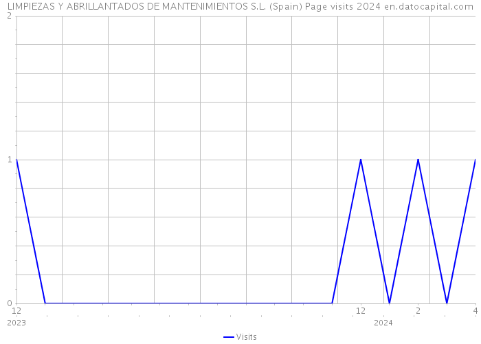 LIMPIEZAS Y ABRILLANTADOS DE MANTENIMIENTOS S.L. (Spain) Page visits 2024 