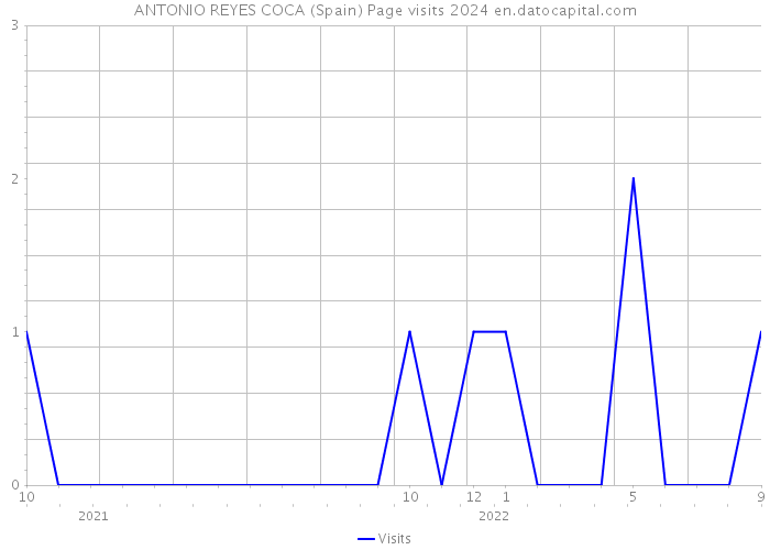 ANTONIO REYES COCA (Spain) Page visits 2024 