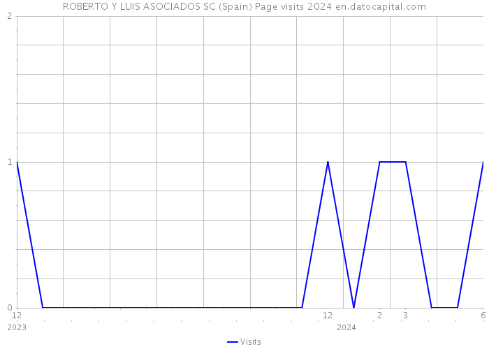 ROBERTO Y LUIS ASOCIADOS SC (Spain) Page visits 2024 