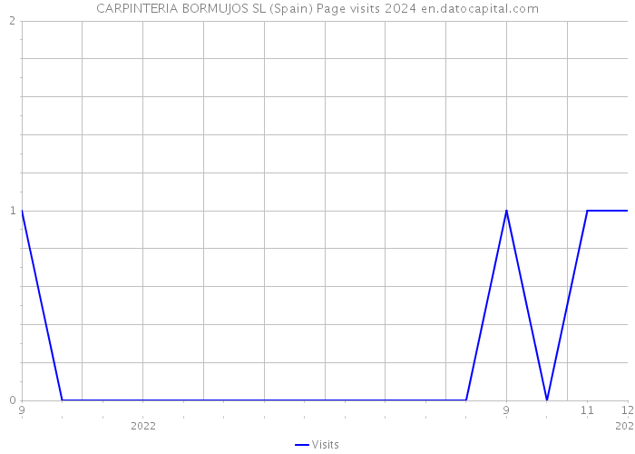 CARPINTERIA BORMUJOS SL (Spain) Page visits 2024 