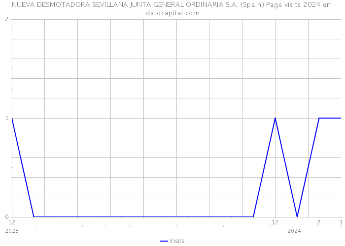 NUEVA DESMOTADORA SEVILLANA JUNTA GENERAL ORDINARIA S.A. (Spain) Page visits 2024 
