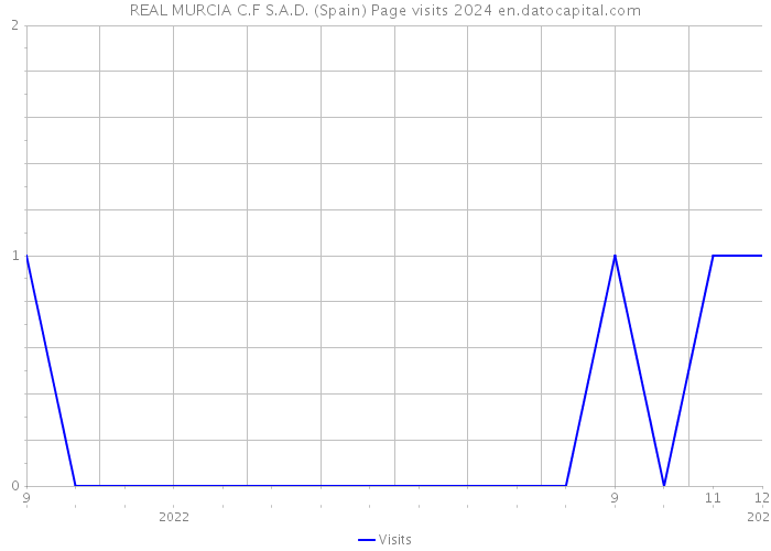 REAL MURCIA C.F S.A.D. (Spain) Page visits 2024 