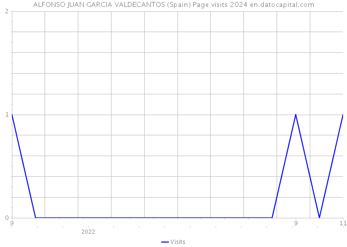 ALFONSO JUAN GARCIA VALDECANTOS (Spain) Page visits 2024 