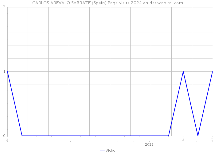 CARLOS AREVALO SARRATE (Spain) Page visits 2024 
