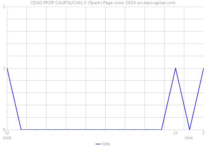CDAD PROP CAUPOLICAN, 5 (Spain) Page visits 2024 