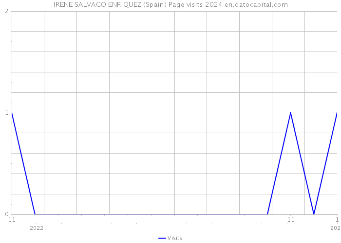 IRENE SALVAGO ENRIQUEZ (Spain) Page visits 2024 