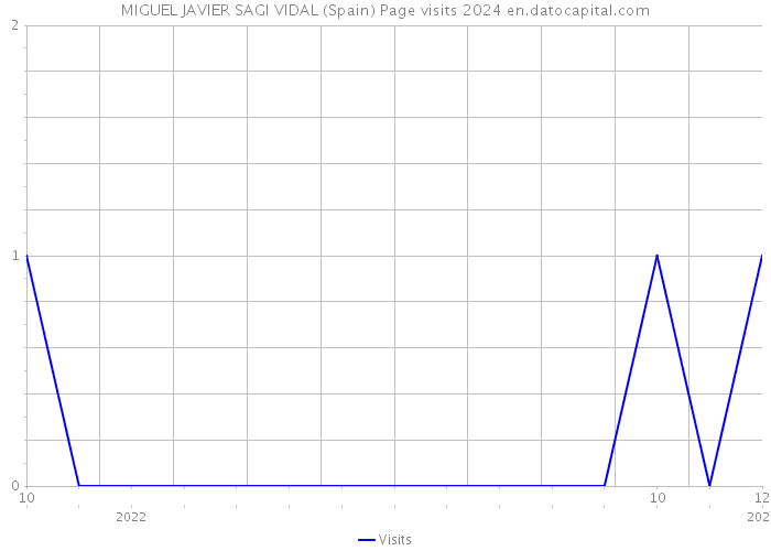 MIGUEL JAVIER SAGI VIDAL (Spain) Page visits 2024 