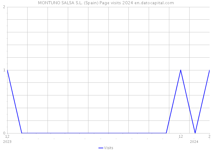 MONTUNO SALSA S.L. (Spain) Page visits 2024 