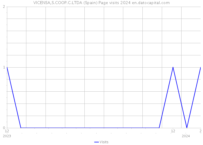 VICENSA,S.COOP.C.LTDA (Spain) Page visits 2024 