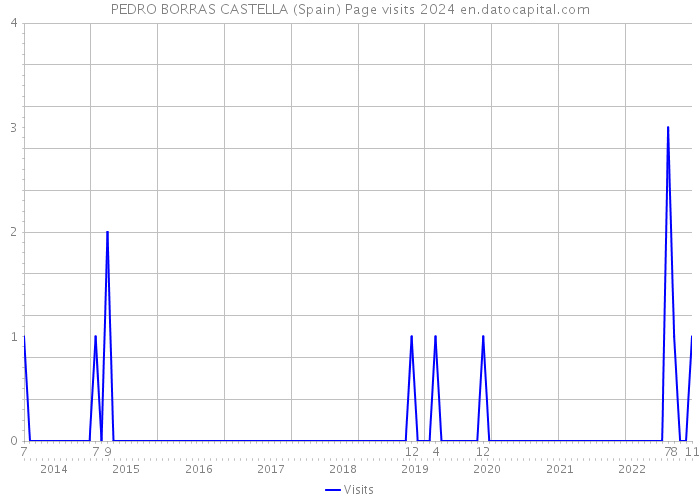 PEDRO BORRAS CASTELLA (Spain) Page visits 2024 