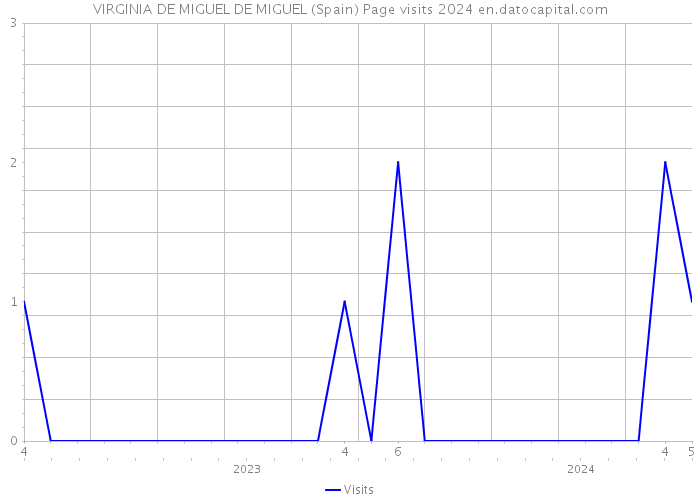 VIRGINIA DE MIGUEL DE MIGUEL (Spain) Page visits 2024 