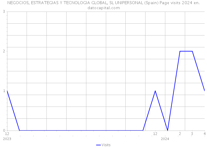 NEGOCIOS, ESTRATEGIAS Y TECNOLOGIA GLOBAL, SL UNIPERSONAL (Spain) Page visits 2024 